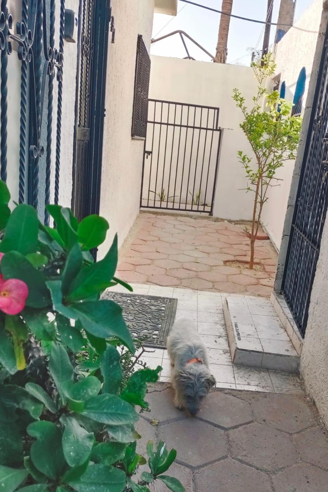 La Casa Del Pescador Apartman La Paz Kültér fotó